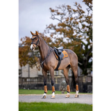 Lemieux Loire Classic GP Square Ginger - Saddle Pads & Numnahs