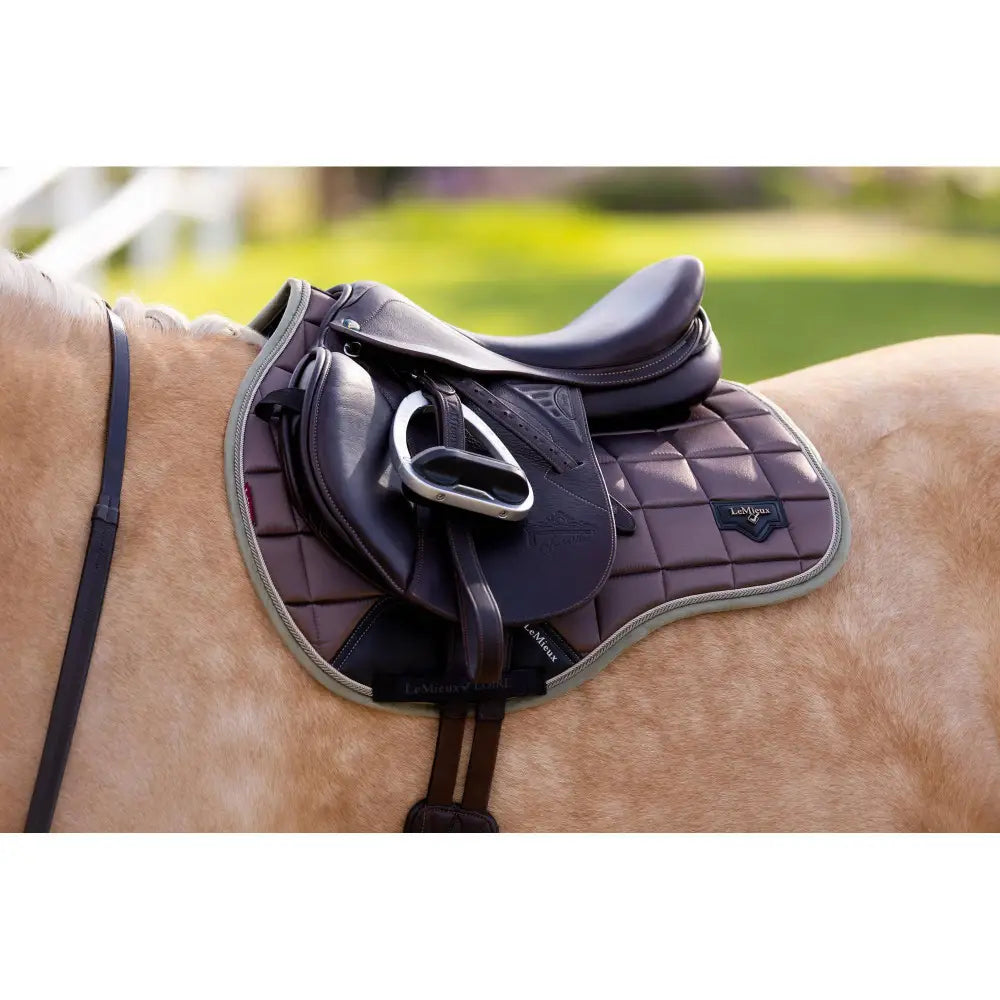 Lemieux Loire Classic Gp Walnut Small/Medium Saddle Pads & Numnahs Barnstaple Equestrian Supplies