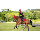 A chestnut horse wears red lemieux loire close contact square chilli protective headgear and black leg wraps