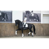 A sleek black horse wearing a stylish lemieux loire dressage square white pad with white leg wraps and rider