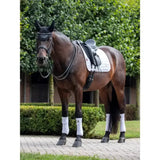 A sleek dark brown horse wearing lemieux loire dressage with a stylish white dressage pad on a paved path