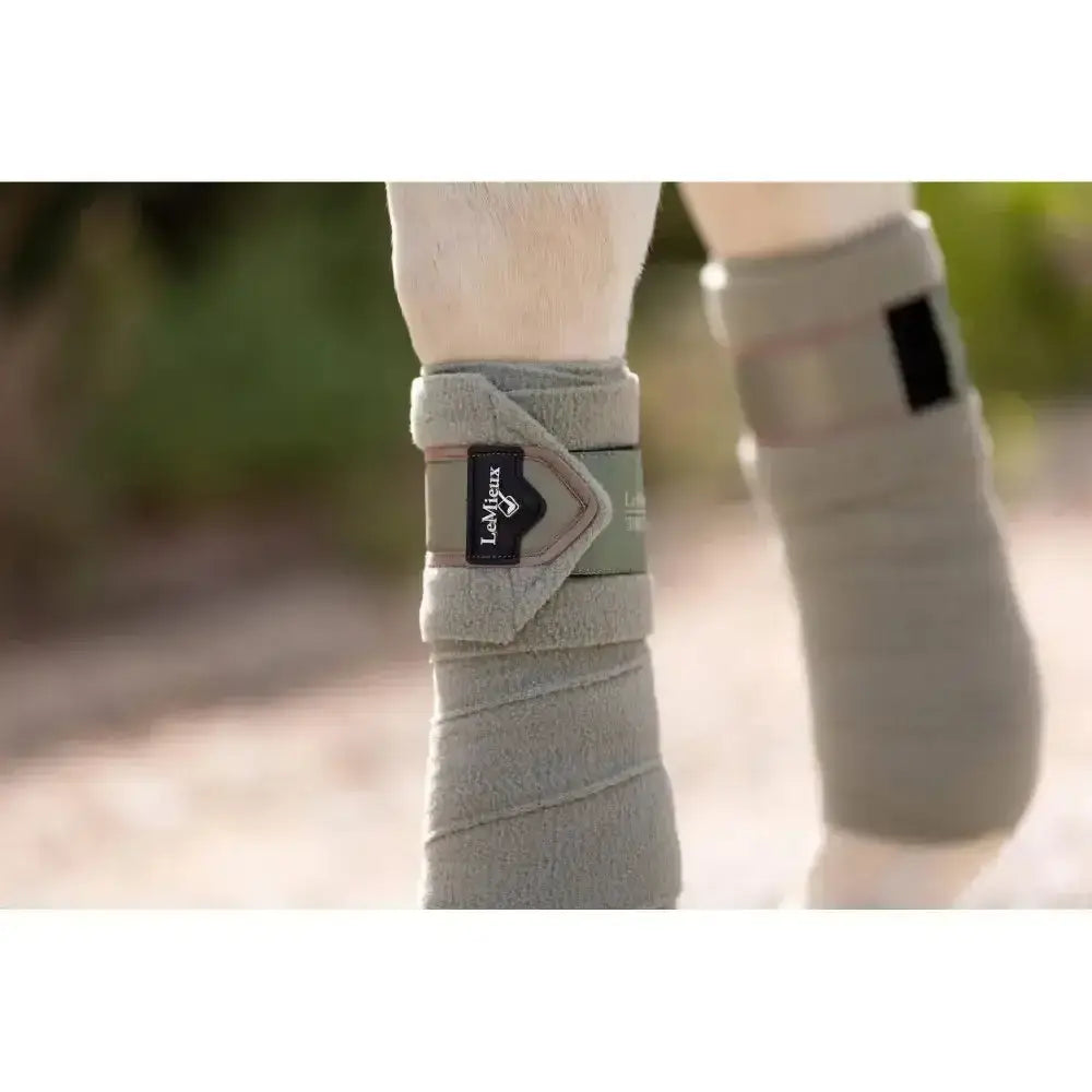 Gray lemieux loire polo bandage with soft fleece material, adjustable strap closure, and embossed metal motif perfect match