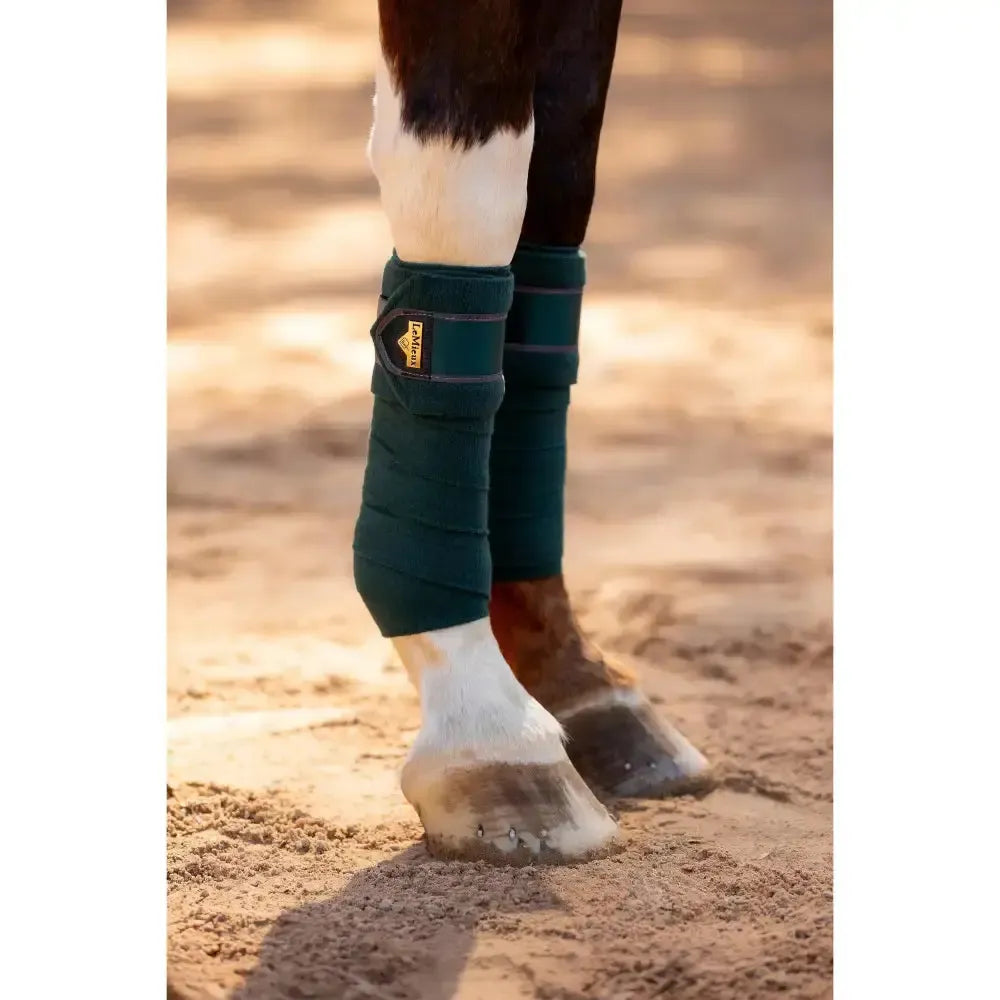 LeMieux Loire Polo Bandages Spruce Pony Leg Bandages