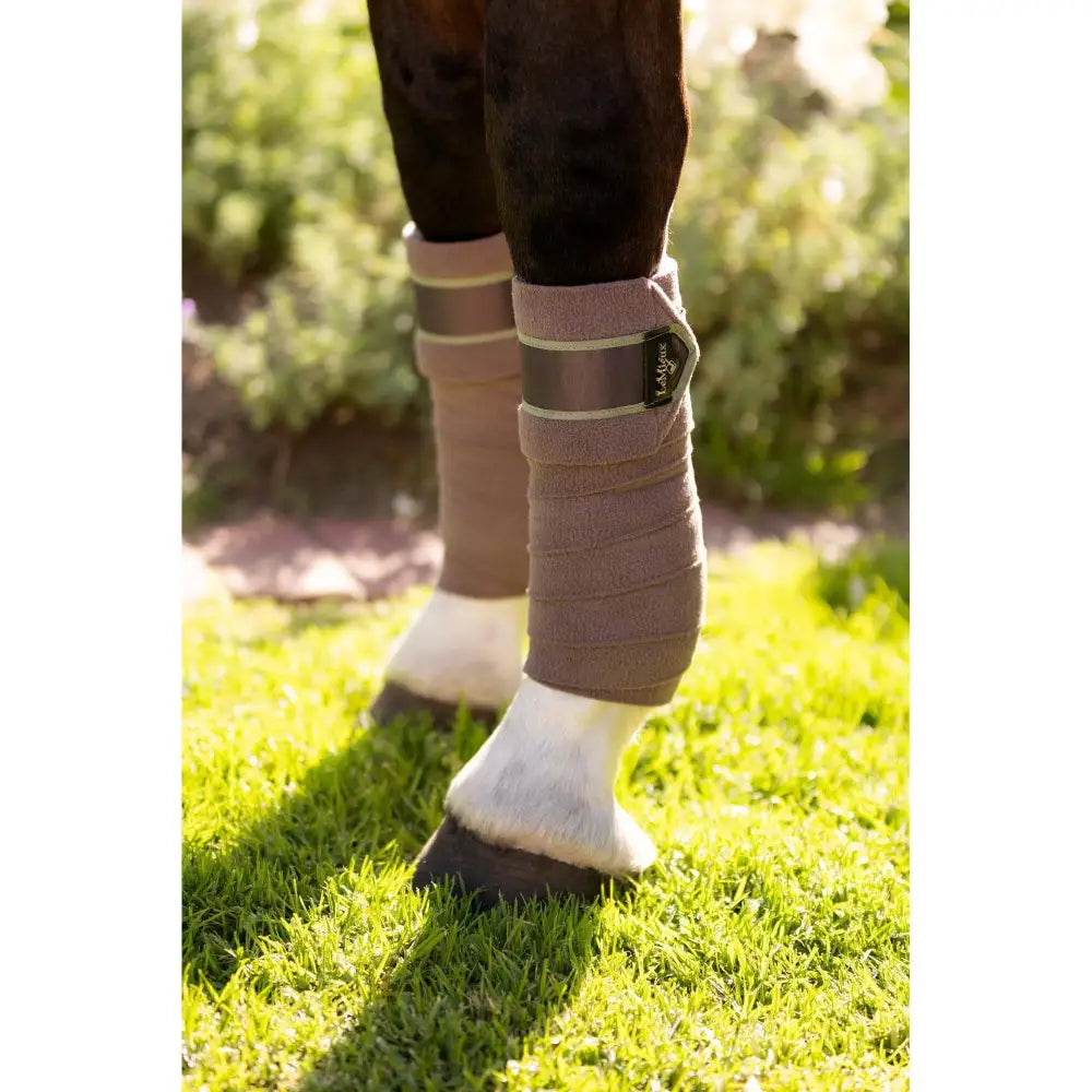 Lemieux Loire Polo Bandages Walnut Pony Leg Bandages