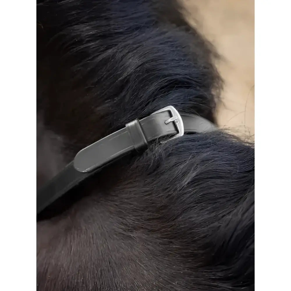 Black leather dog collar with silver buckle featuring lemieux magna grip textured rubber overlay for secure grip