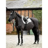 Black horse wearing a lemieux merino+ lightweight cotton square in white and natural in front of an ivy covered stable