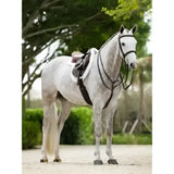 A sleek dapple gray horse wearing a lemieux merino+ prosorb hunter saddle pad in white with black leather tack