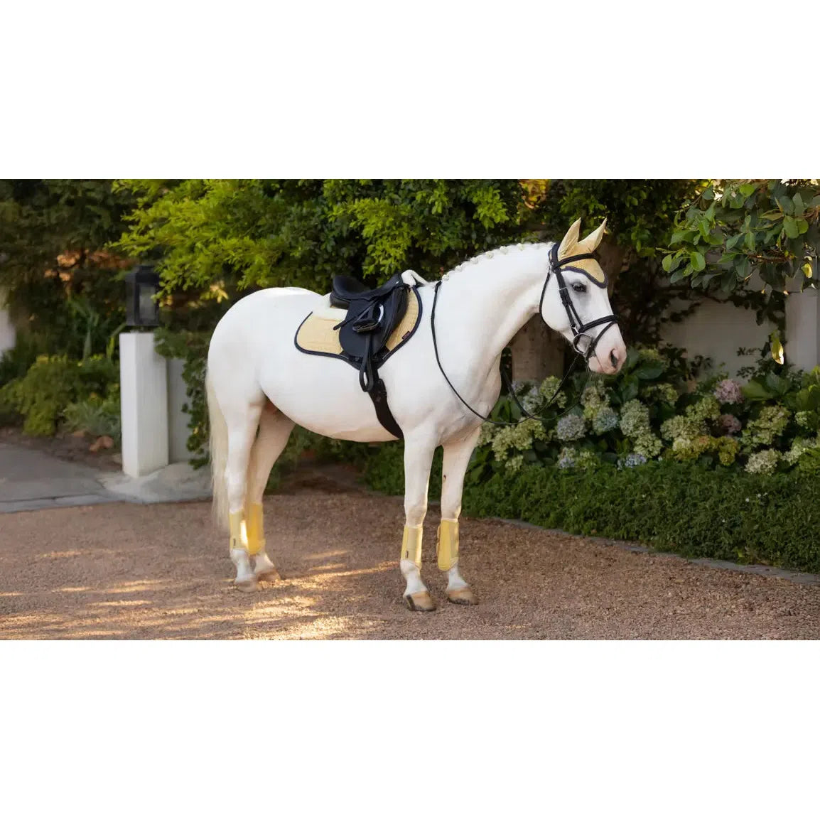 Lemieux Merino+ Suede Close Contact Square Mimosa Mimosa Small/Medium Saddle Pads