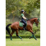 A sleek chestnut horse wearing green protective leg wraps and a lemieux mia mesh short base layer hunter green saddle pad
