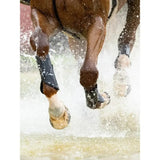 LeMieux MIMsafe XC Boot Front Black Black Small Horse Boots