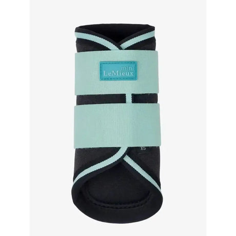 Lemieux Mini Brushing Boots Aqua Aqua Mini Brushing Boots