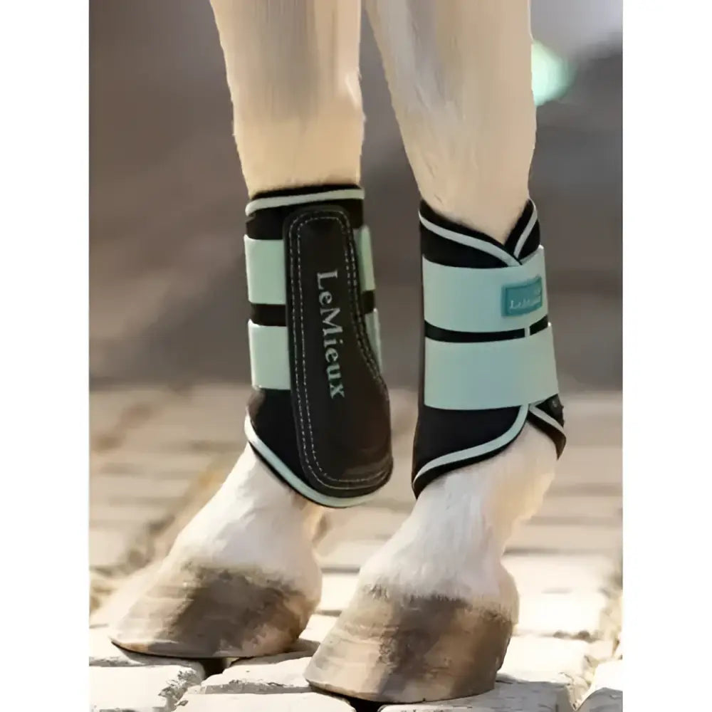 Light blue and black lemieux mini brushing boots aqua with white trim for horse leg protection and support
