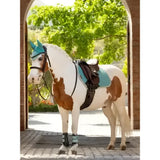 A white and brown pinto horse wearing lemieux mini brushing boots aqua with teal bridle and saddle pad