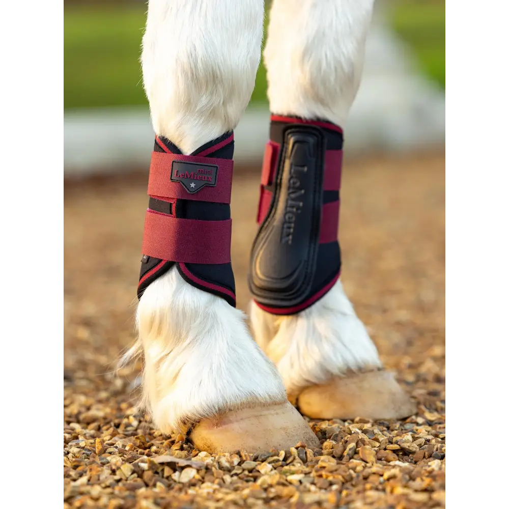 Lemieux Mini Brushing Boots Ember Mini Ember Brushing Boots