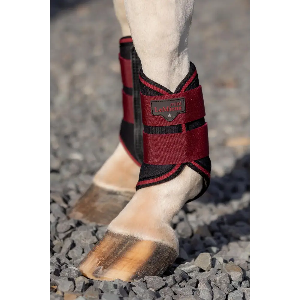 Lemieux Mini Brushing Boots Ember Mini Ember Brushing Boots