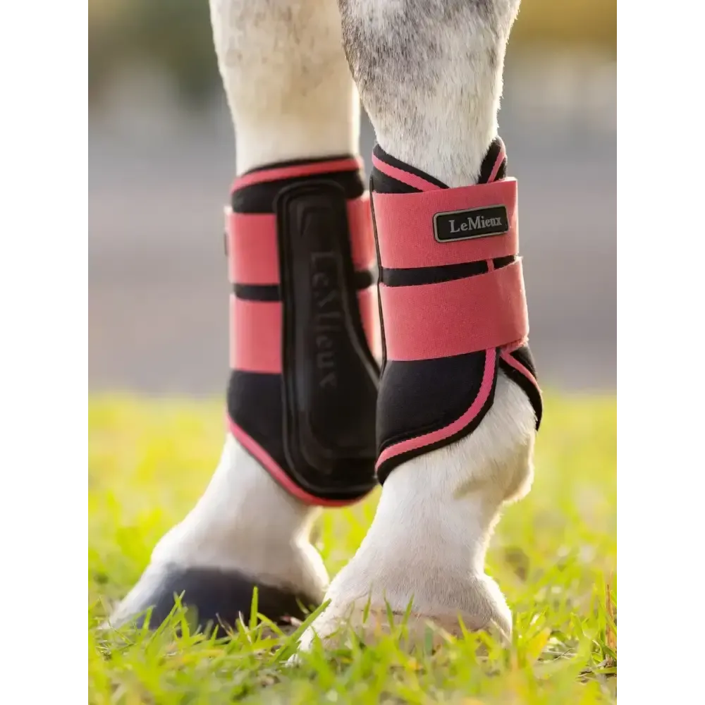 Lemieux Mini Grafter Brushing Boots Cranberry Cranberry X-Small Brushing Boots