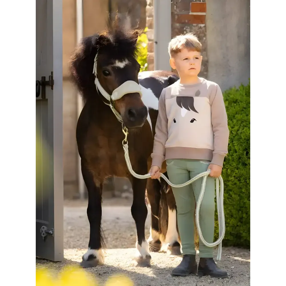 Lemieux Mini Pony Sweatshirt Stone 3-4 Years Jumpers & Hoodies