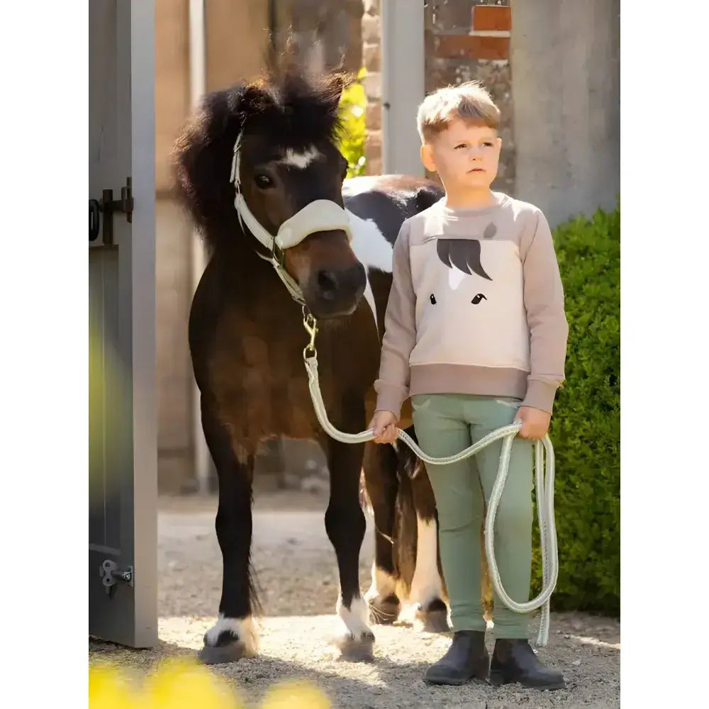 A young boy wearing a lemieux mini pony sweatshirt stone with a black horse face stands beside a small dark brown pony