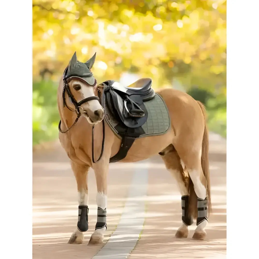 A tan horse wearing a black bridle with protective wraps stands with a lemieux mini suede contact square rosemary saddle pad