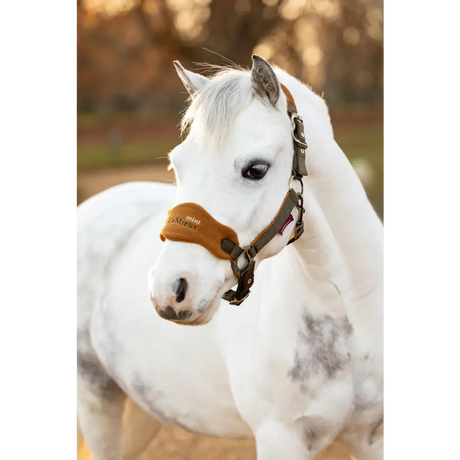 Lemieux Mini Vogue Headcollar Alpine - Headcollars