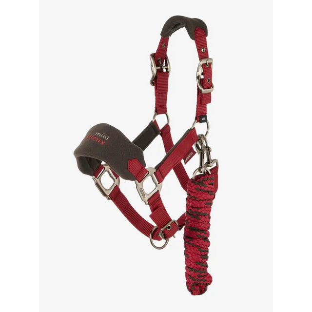 Lemieux Mini Vogue Headcollar Ember - Super Mini / Ember - Headcollars