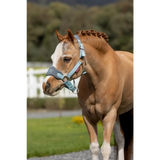 Lemieux Mini Vogue Headcollar Glacier - Headcollars