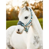 Lemieux Mini Vogue Headcollar Glacier - Headcollars