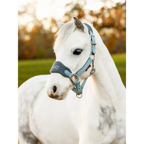 Lemieux Mini Vogue Headcollar Glacier - Headcollars