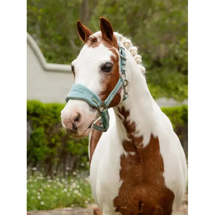 Lemieux Mini Vogue Headcollar & Leadrope Aqua Aqua Super Mini Headcollar Sets