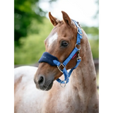 LeMieux Mini Vogue Headcollar & Leadrope Benetton Benetton Mini Headcollars