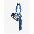 Blue nylon lemieux mini vogue headcollar with silver hardware fleece inserts and matching leadrope benetton coil rope