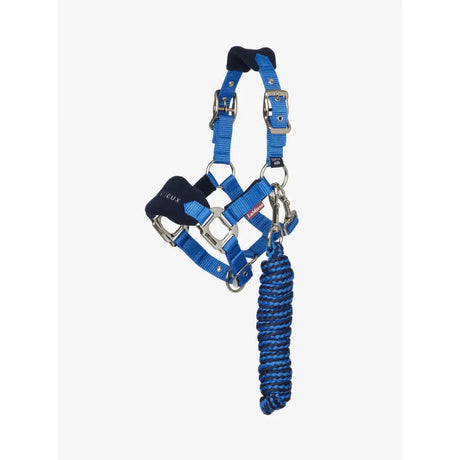 Blue nylon lemieux mini vogue headcollar with silver hardware fleece inserts and matching leadrope benetton coil rope