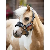 LeMieux Mini Vogue Headcollar & Leadrope Black Black Super Mini Headcollars