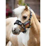 Black and gray lemieux mini vogue adjustable horse halter with red brand tag and leadrope black attached