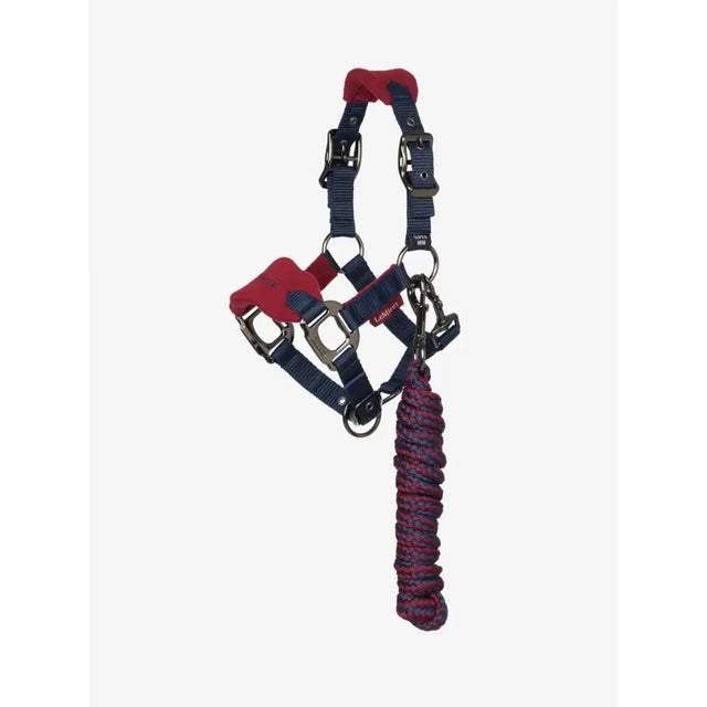 Navy blue and red leather lemieux mini vogue headcollar with fleece inserts and matching leadrope burgundy braided rope