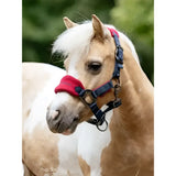 Red and navy blue lemieux mini vogue headcollar with adjustable straps fleece inserts and leadrope burgundy metal hardware