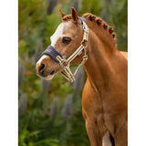 Lemieux mini vogue navy blue and cream horse halter with padded noseband and adjustable metal hardware from premium designer collection