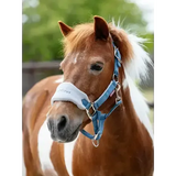 LeMieux Mini Vogue Headcollar & Leadrope Ice Blue Ice Blue Mini Headcollars