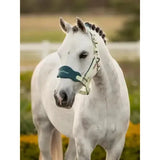 Lemieux Mini Vogue Headcollar & Leadrope Macaron Macaron Super Mini Headcollar Sets