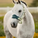 White horse wearing a teal and silver lemieux mini vogue leather halter with fleece inserts and leadrope macaron