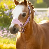 Pink and purple lemieux mini vogue headcollar with adjustable straps and branded logo on the noseband leadrope mallow