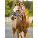 Lemieux Mini Vogue Headcollar & Leadrope Powder Blue Powder Blue Super Mini Headcollar Sets