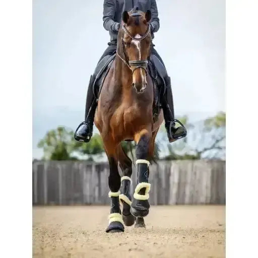 LeMieux Motionflex Dressage Boot with Fleece Edge Black/Natural Medium Black/Natural Brushing Boots
