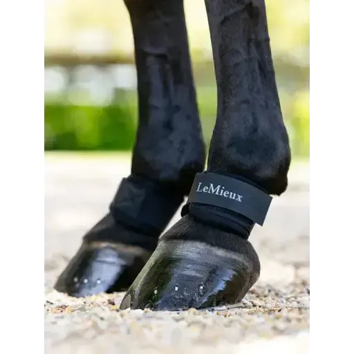 LeMieux Neoprene Pastern Wrap Black Black One Size Horse Boots