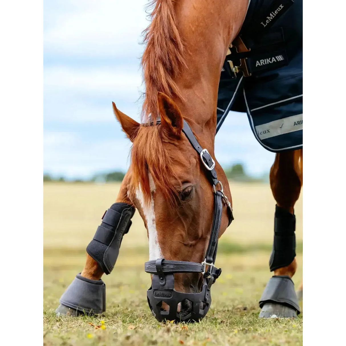 Lemieux Noma Grazing Muzzle Black Black Pony Grazing Muzzle