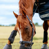 Black lemieux noma grazing muzzle with adjustable straps and ventilation holes for natural turnout use