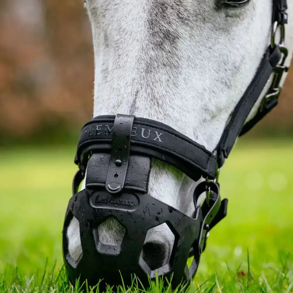 Black leather lemieux noma grazing muzzle with hex ventilation holes and embossed brand name for natural turnout use