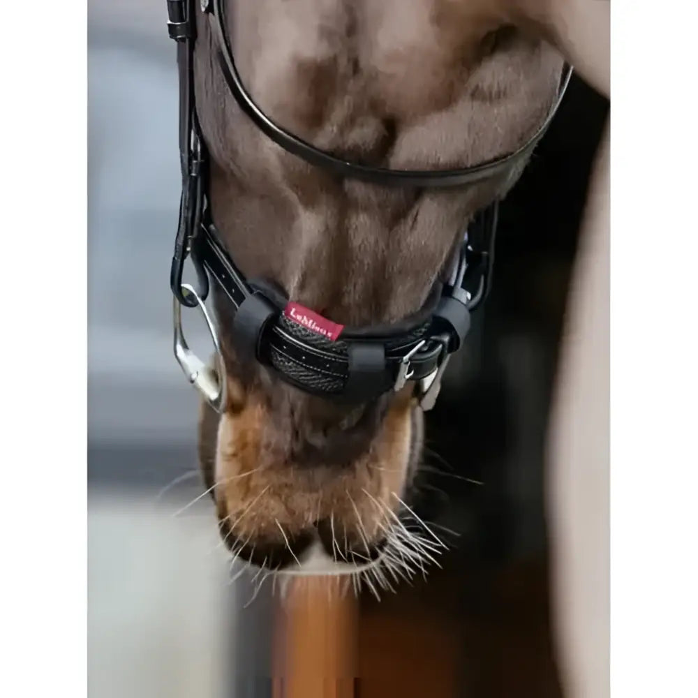 Black leather lemieux noseband pad with red brand tag for comfortable noseband pad black use