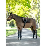 Brown horse wearing a black saddle with lemieux pillow pad brown sitting on a paved path