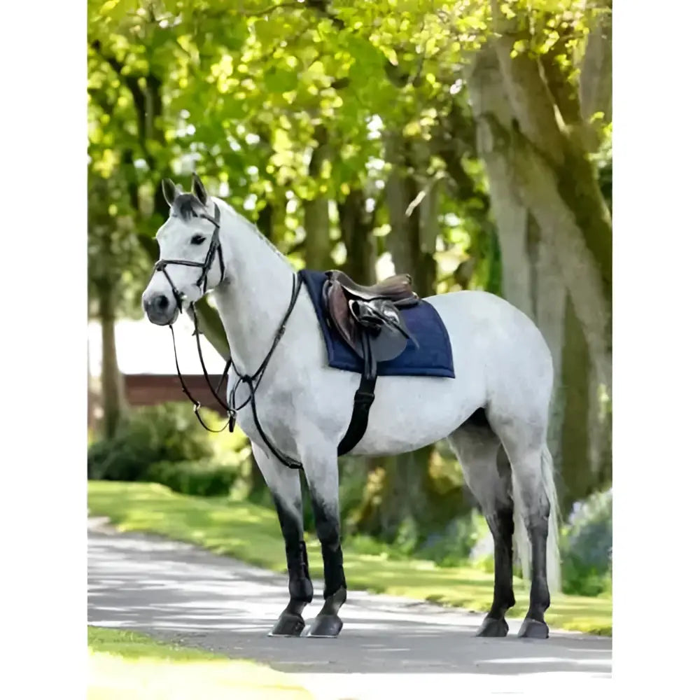 A white horse with black legs wearing a brown leather saddle and navy lemieux pillow pad for riding comfort